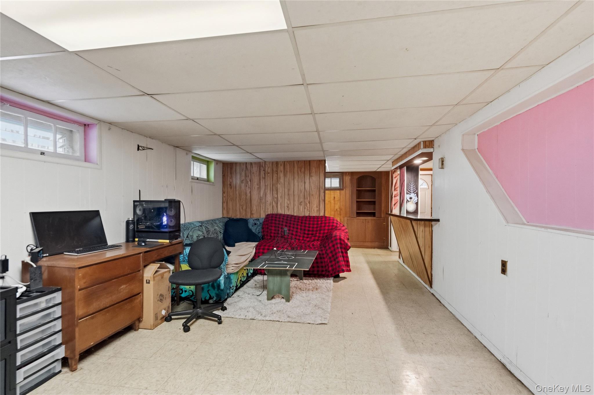 16 NewMarket Road Syosset, NY 11791 - Photo 19 of 27 Finished basement