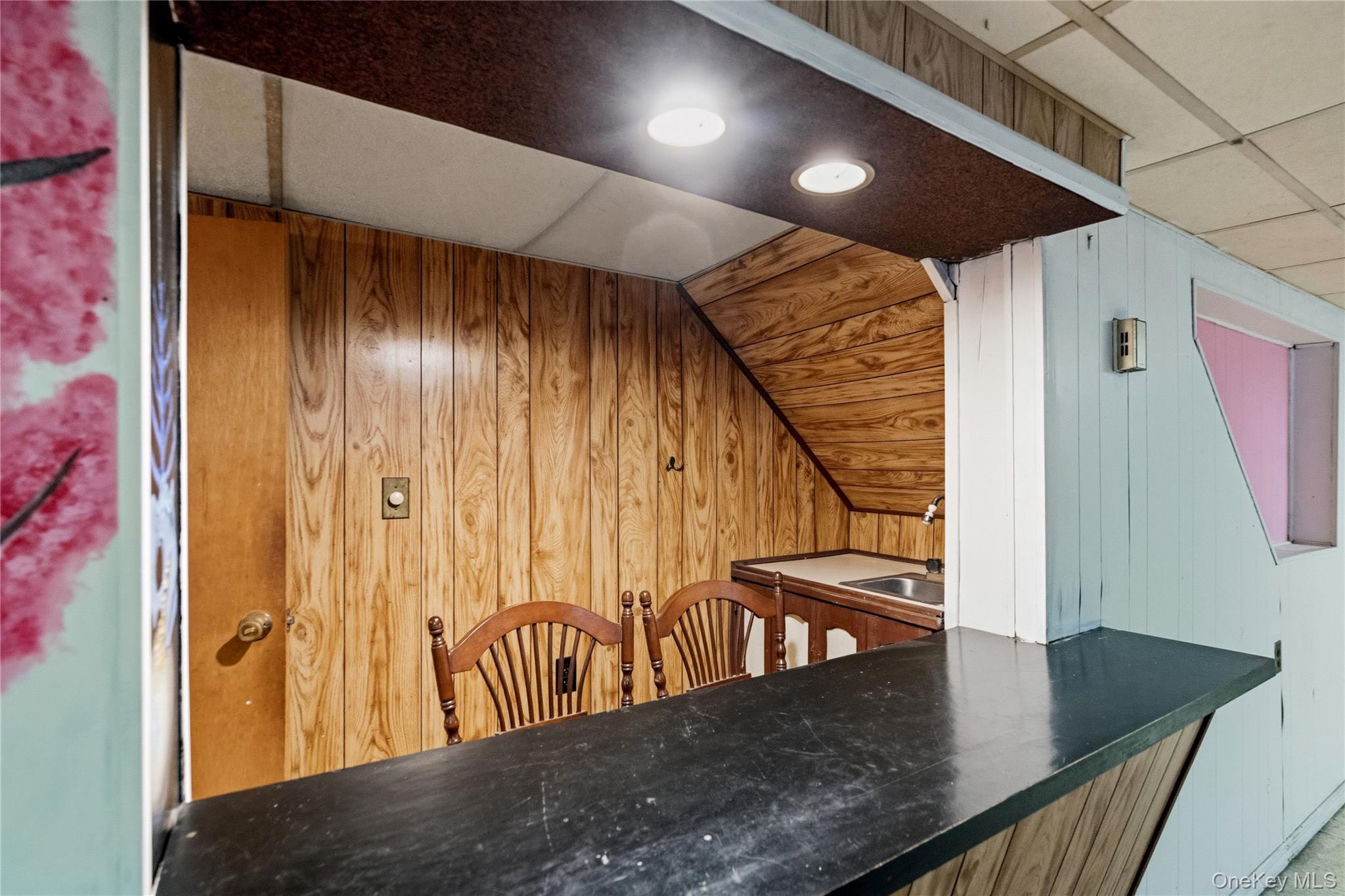 16 NewMarket Road Syosset, NY 11791 - Photo 20 of 27