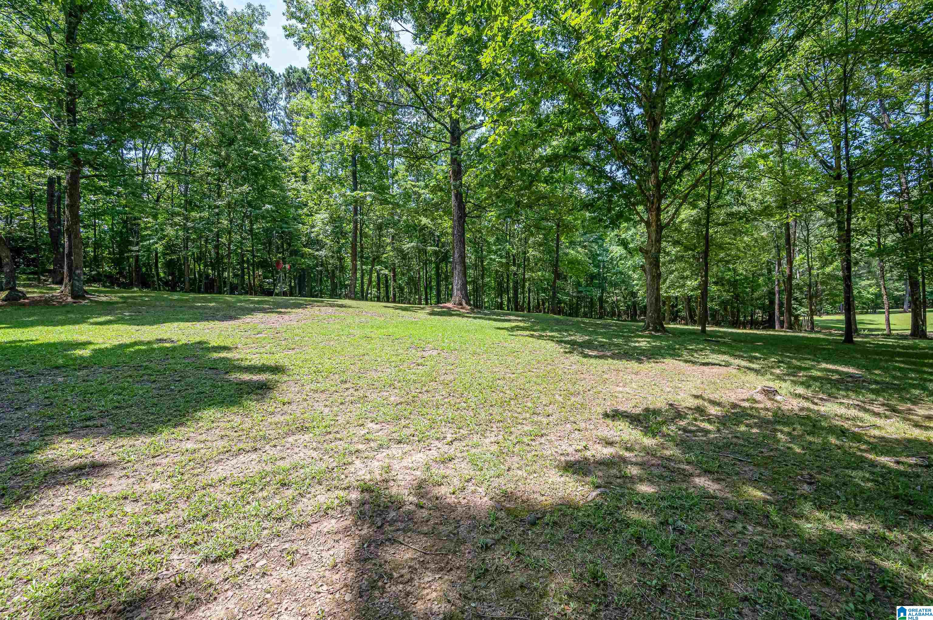 290 Baron Drive Chelsea, AL 35043 - Photo 52 of 59