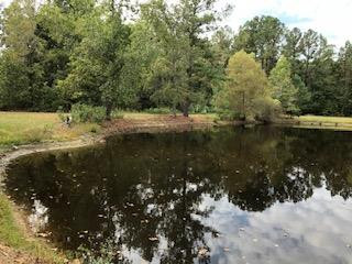 4047 Reeves Road Dearing, GA 30808 - Photo 8 of 18