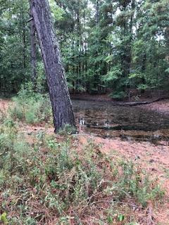 4047 Reeves Road Dearing, GA 30808 - Photo 9 of 18