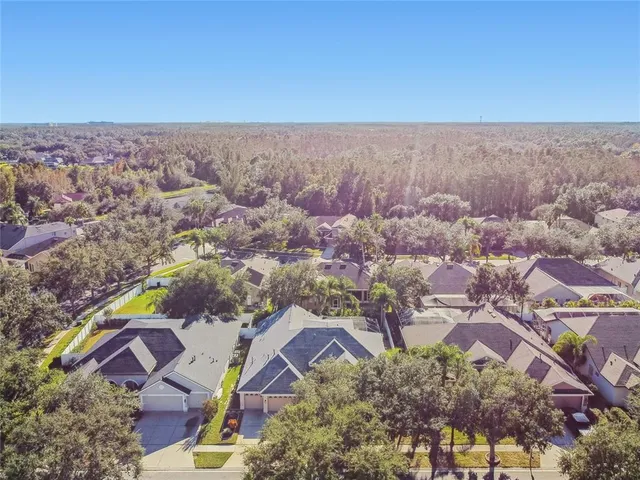 $715,000 | 19104 Nature Palm Lane, Tampa, FL 33647