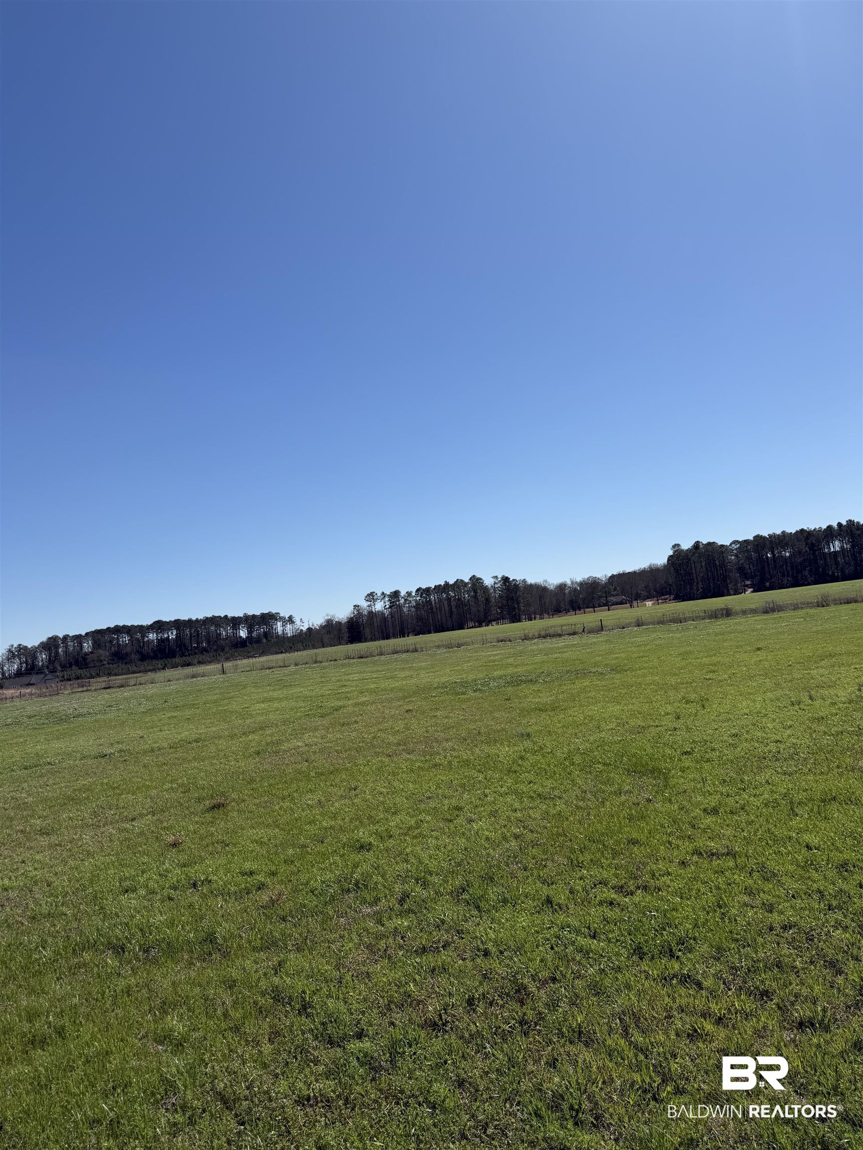 325 Honoraville Road Greenville, AL 36037 - Photo 3 of 10 View of local wilderness with rural landscape