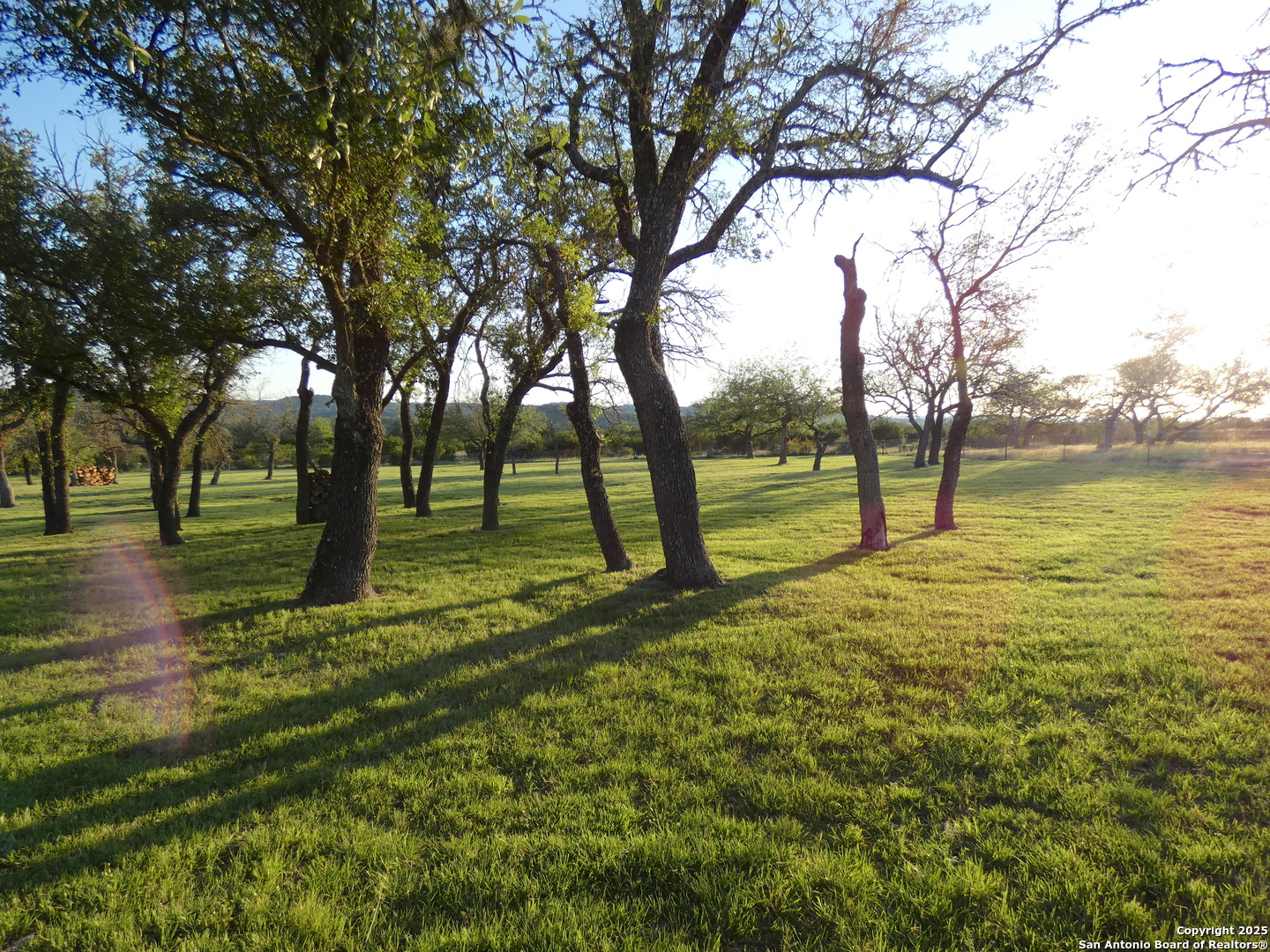 234 Mill Dam Road Comfort, TX 78013 - Photo 33 of 47