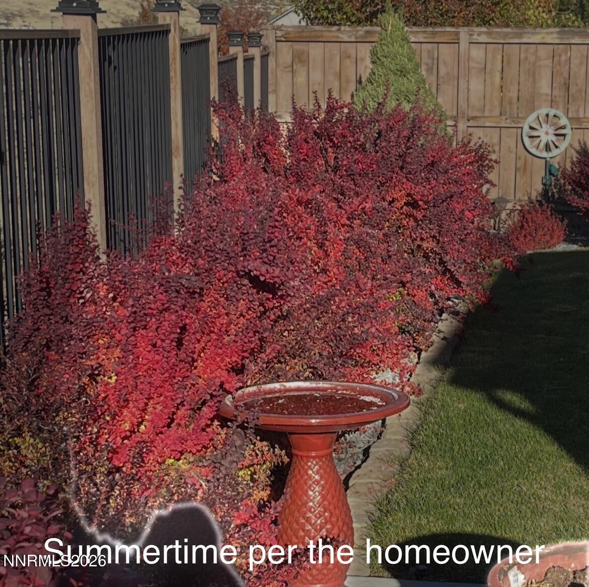 7367 Rutherford Drive Reno, NV 89506 - Photo 42 of 43 IMG_1566