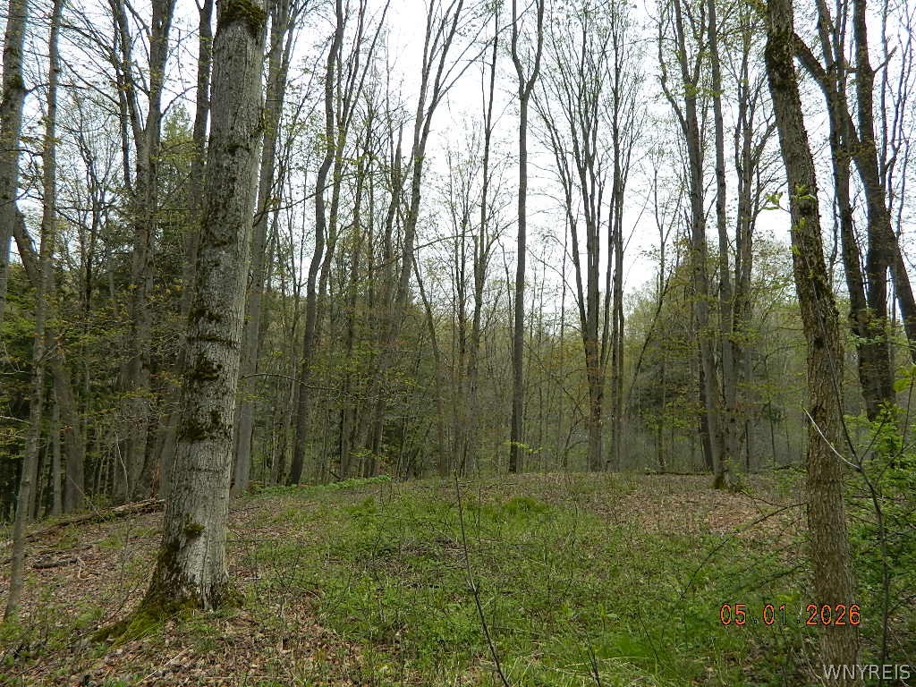 9999 Olean Road Holland, NY 14080 - Photo 11 of 28
