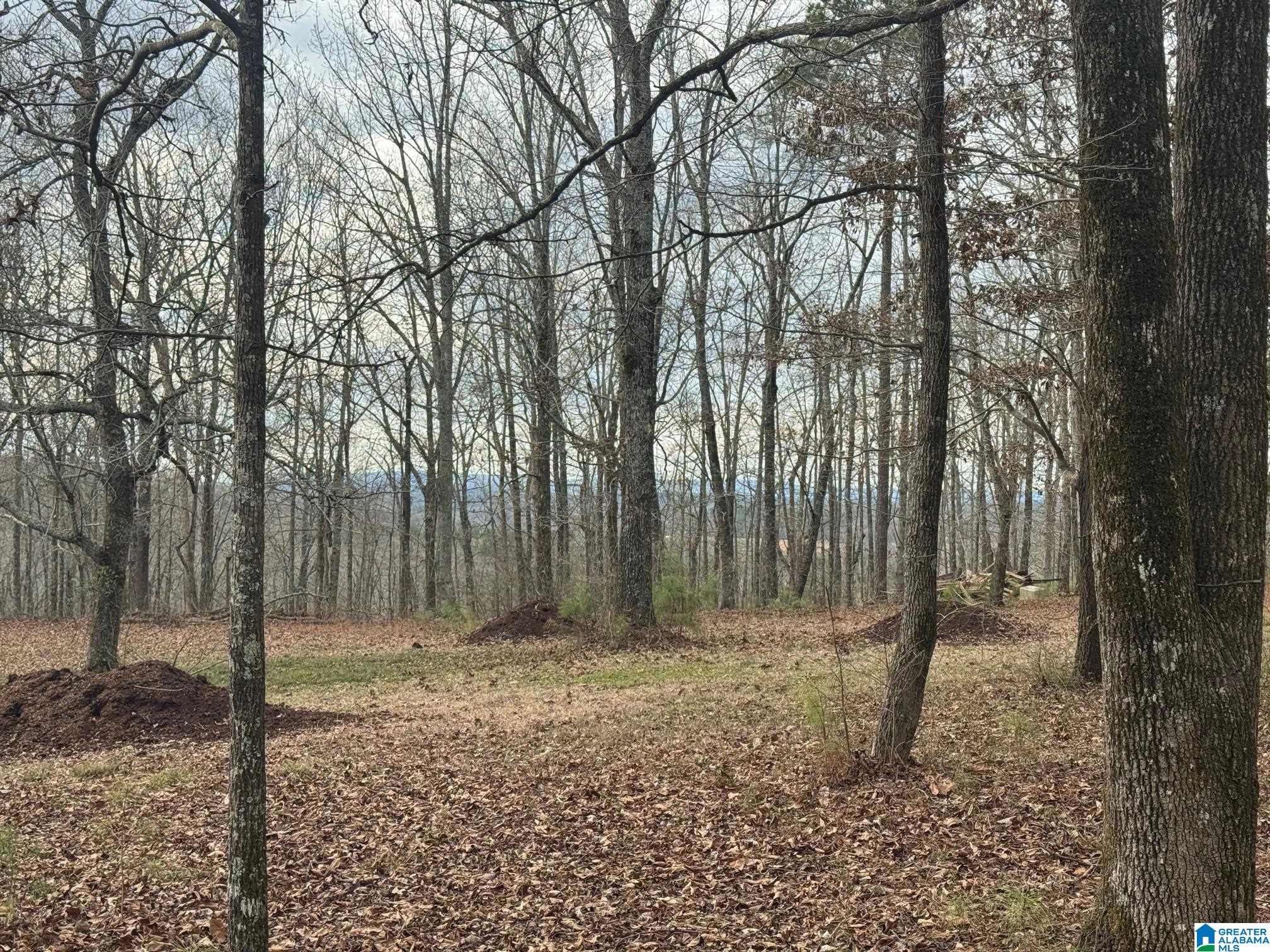 3953 Logan Martin Dam Road Cropwell, AL 35054 - Photo 81 of 99