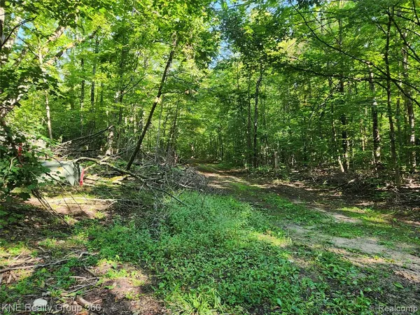 $30,000 | 0 44.852916/-84.742739, Frederic, MI 49733