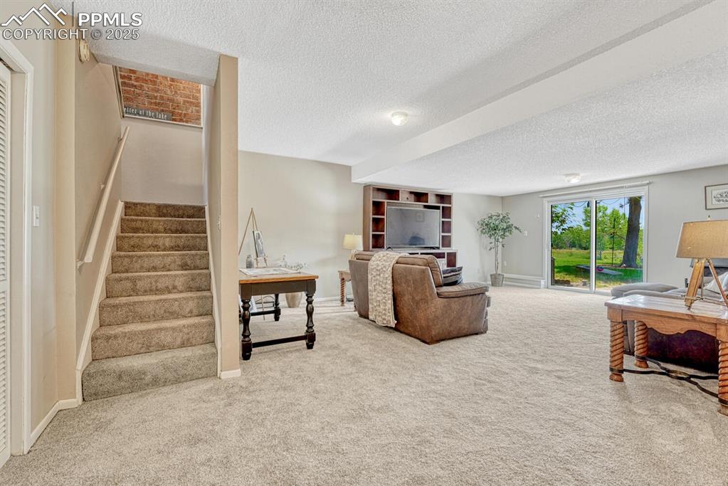 1661 Deer Creek Road Monument, CO 80132 - Photo 24 of 48 Basement living room