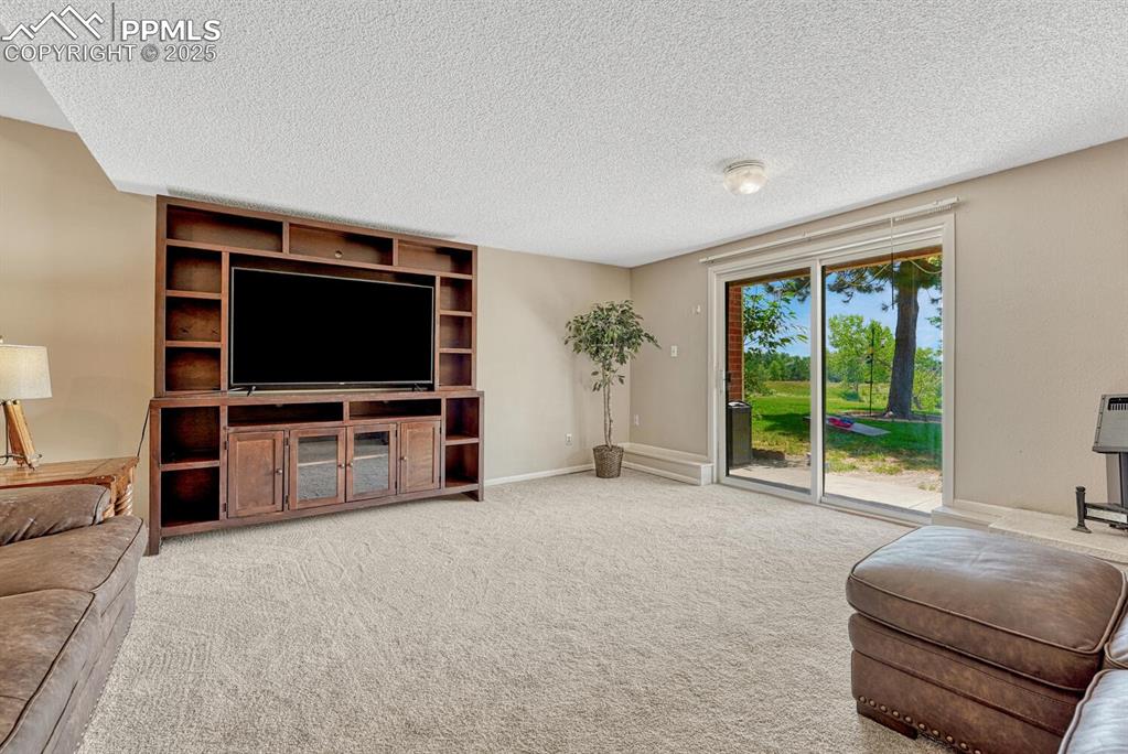 1661 Deer Creek Road Monument, CO 80132 - Photo 25 of 48 Basement living room with walk out to patio