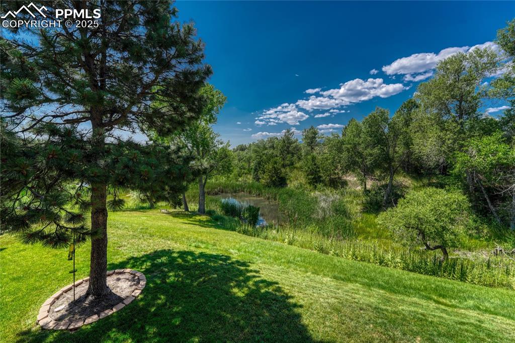 1661 Deer Creek Road Monument, CO 80132 - Photo 41 of 48 the lake view in summer