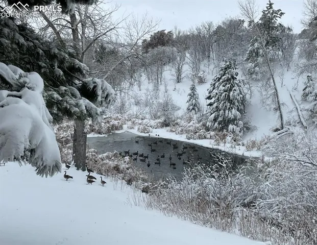 $385,000 | 1661 Deer Creek Road, Monument, CO 80132