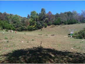 506 Cox Chapel Road Duffield, VA 24244 - Photo 17 of 23 Photo 17