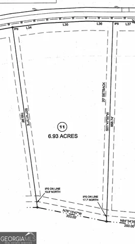 a view of a field with a tree