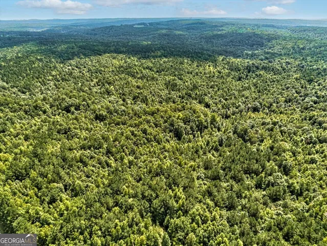 a view of a green field with lots of bushes