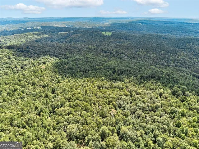 $100,000 | Tk 11 Old Ridgeway Road, Bremen, GA 30110