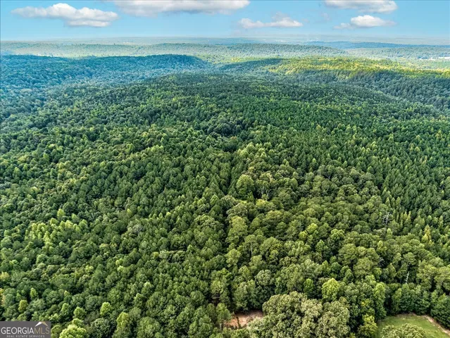 $100,000 | Tk 11 Old Ridgeway Road, Bremen, GA 30110