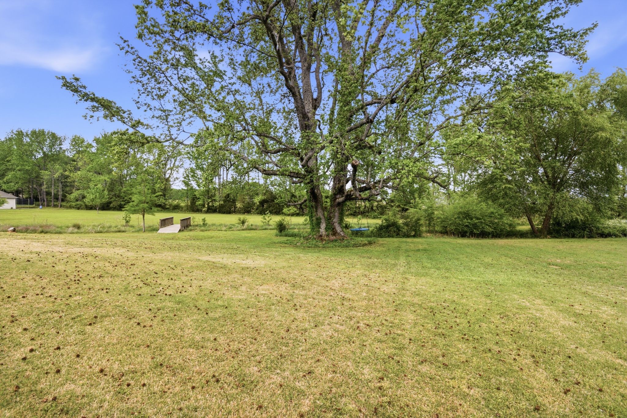 26455 Austin Whitt Road Ardmore, TN 38449 - Photo 60 of 64