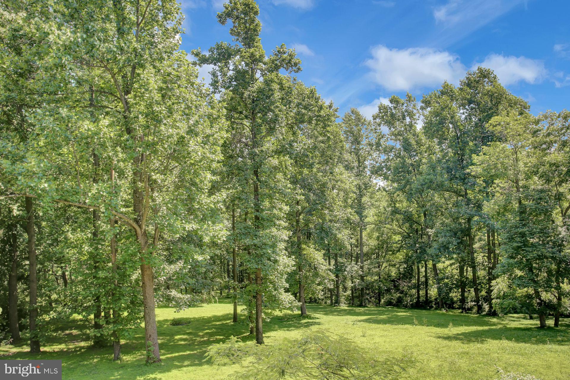 240 Robson Road Dillsburg, PA 17019 - Photo 56 of 71