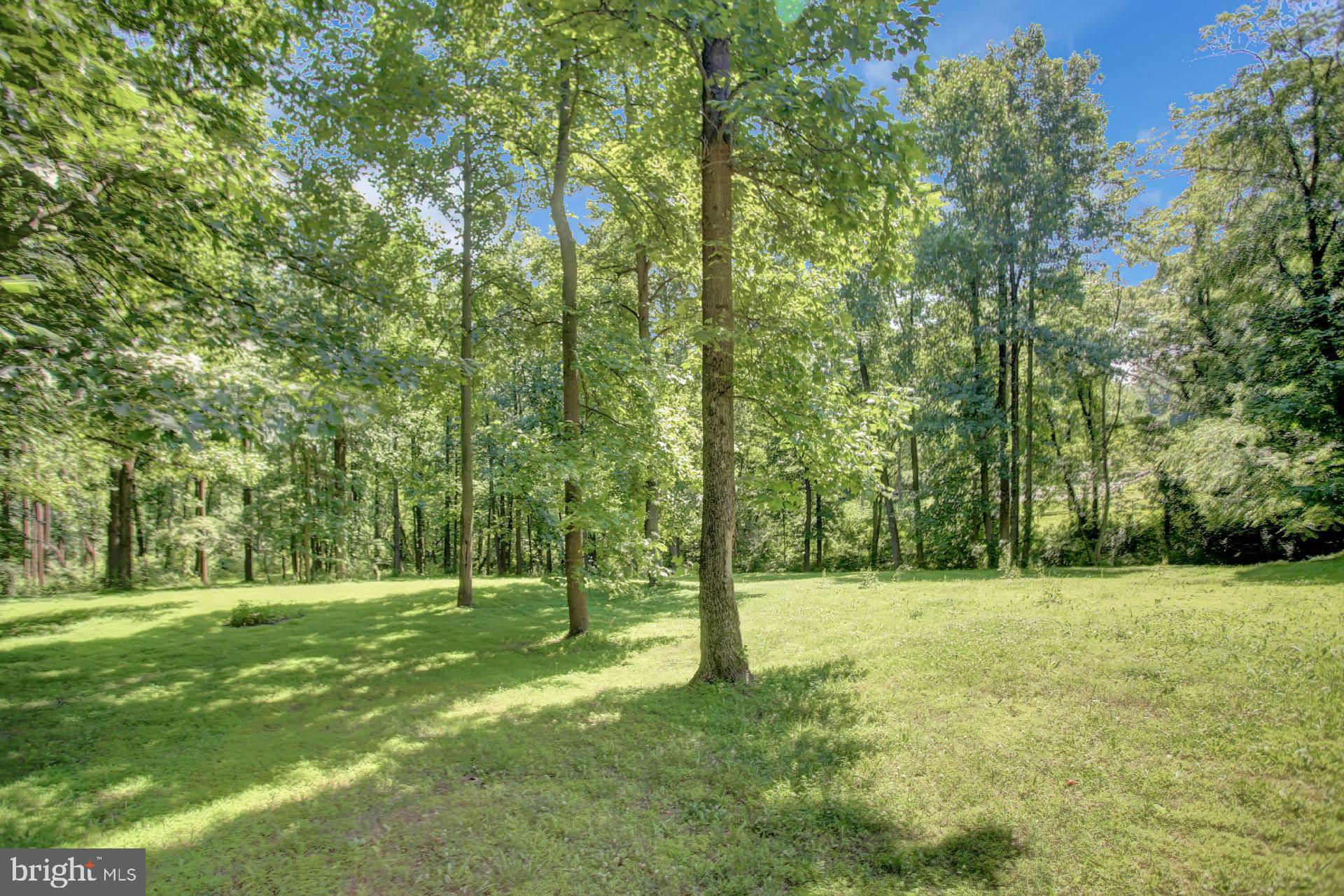 240 Robson Road Dillsburg, PA 17019 - Photo 58 of 71