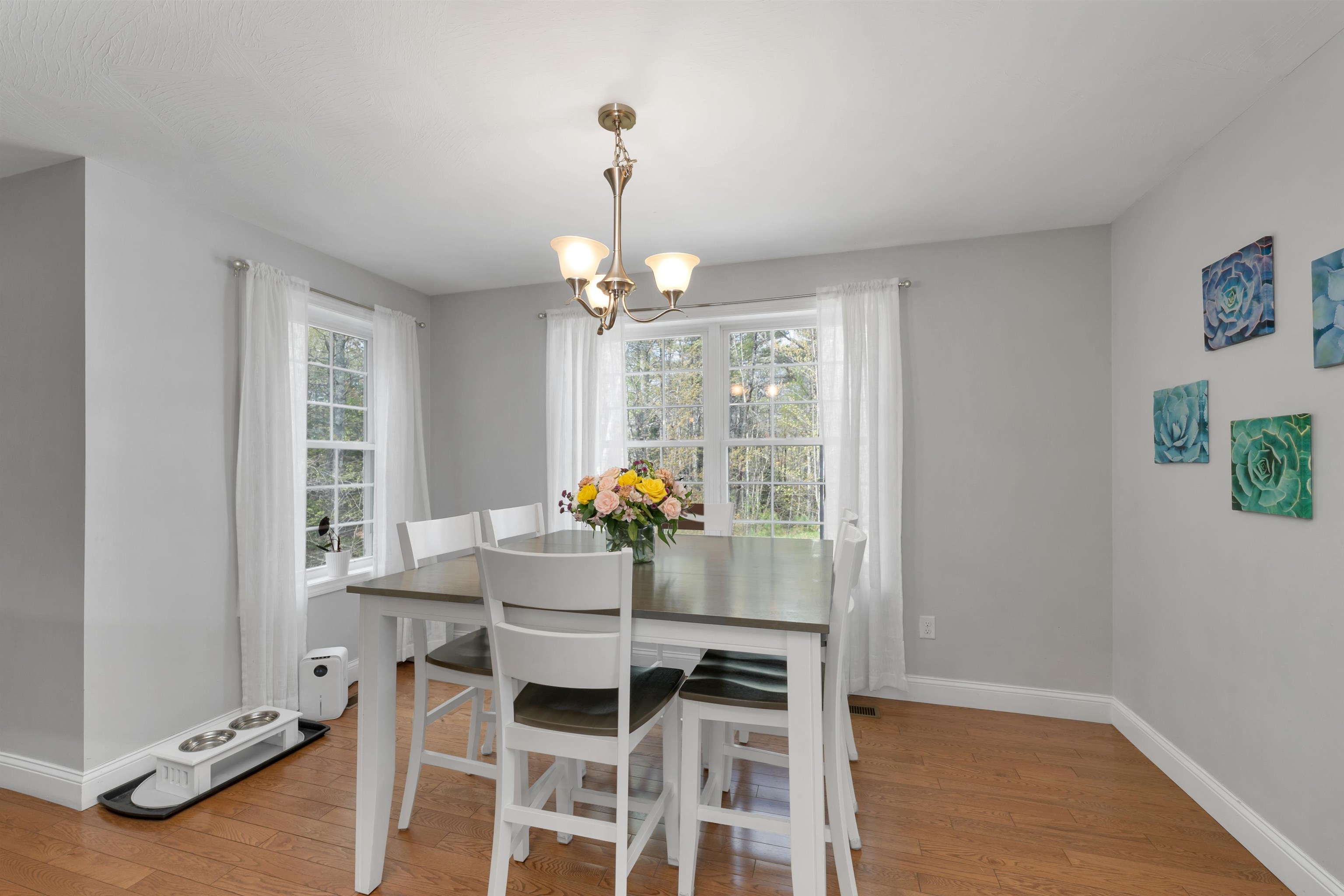 17 Blueberry Hill Road Raymond, NH 03077 - Photo 11 of 59 Gallery Image 11