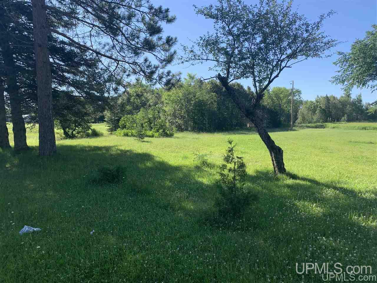 E3311 Co Road Trenary, MI 49891 - Photo 6 of 45