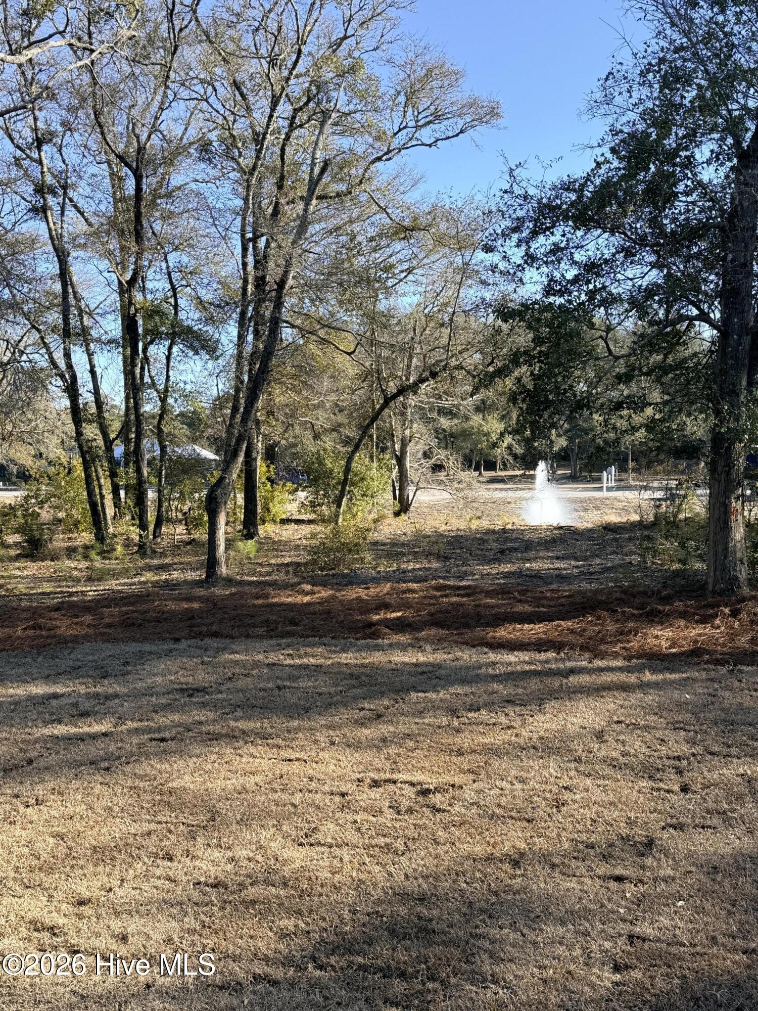 1997 Redfish Run Southwest Supply, NC 28462 - Photo 2 of 10 Fountain View