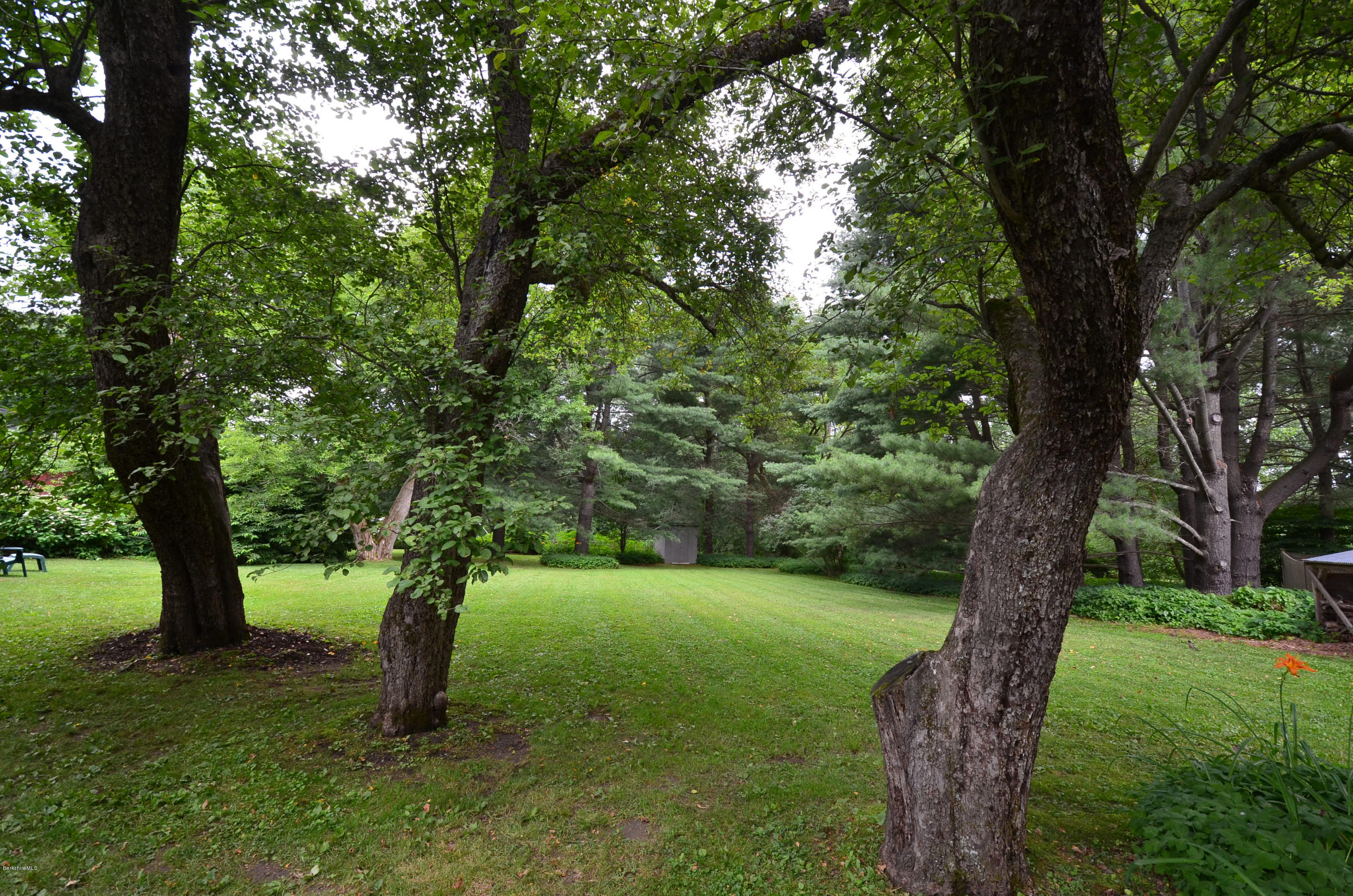 4 Cherry Hill Road Stockbridge, MA 01262 - Photo 17 of 19 a view of a garden with a tree