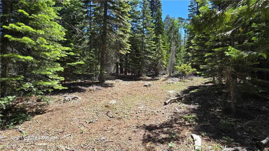 0 Fish Creek Forest Ranch, CA 95942 - Photo 40 of 43 Old Road to Cabin 2