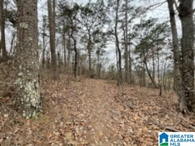 462 Conroy Circle, Unit 710 Sterrett, AL 35147 - Photo 4 of 9