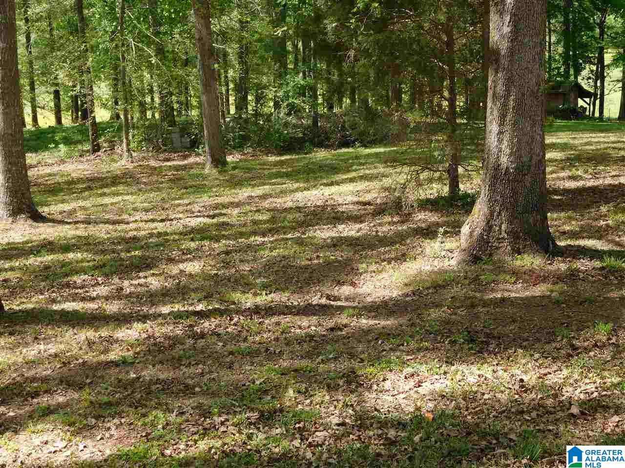 201 Rousseau Loop Sylacauga, AL 35150 - Photo 23 of 30