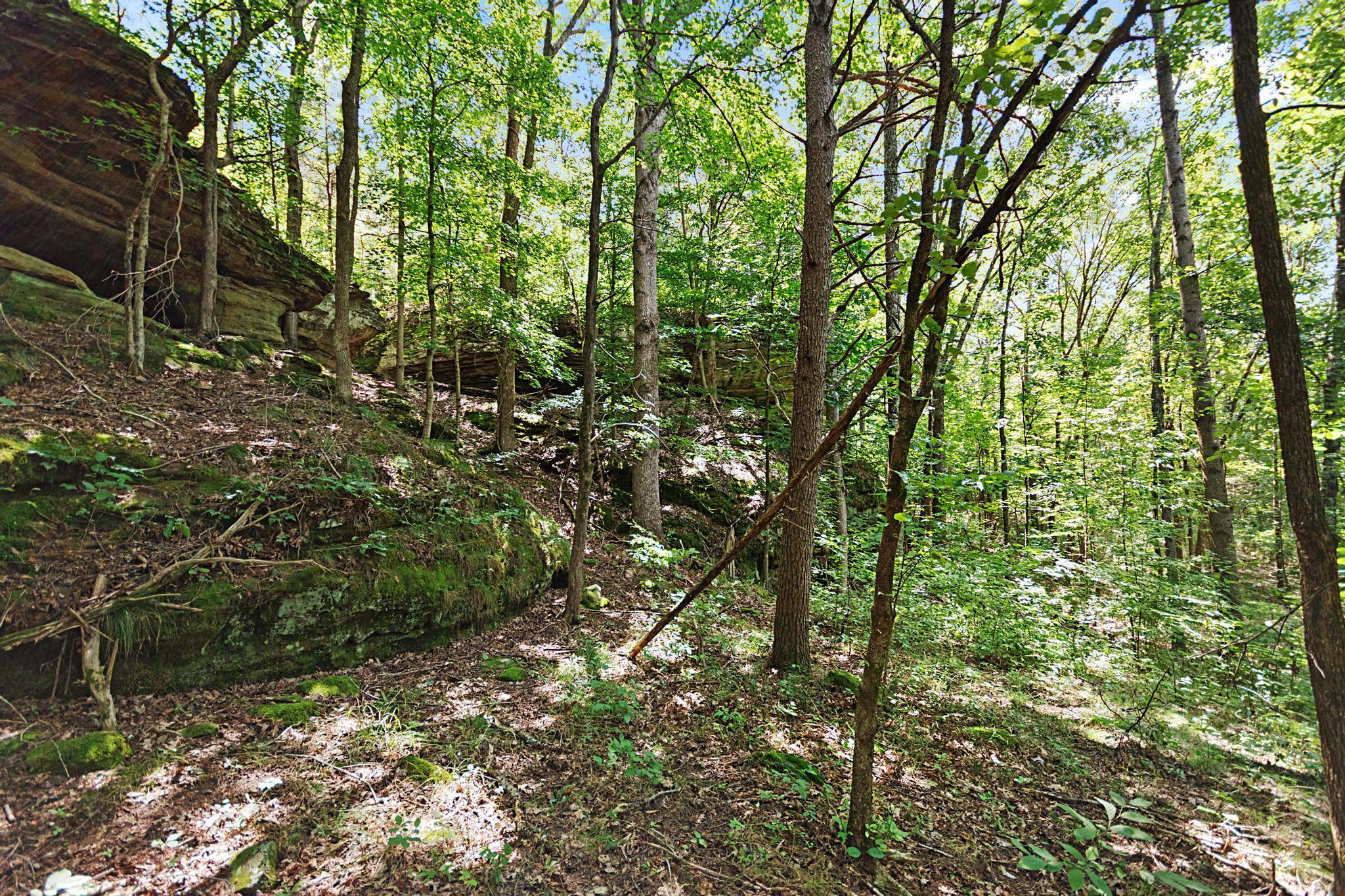 5750 Princeton Olney Road Princeton, KY 42445 - Photo 56 of 57 _DSC5751