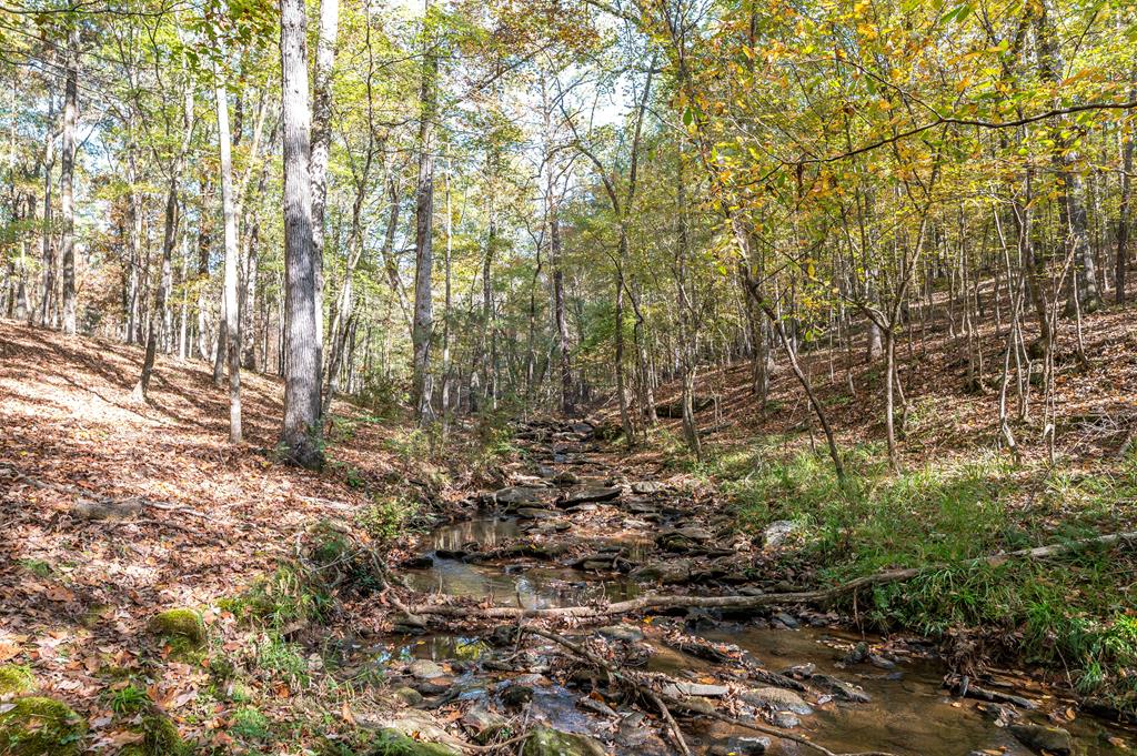 318 North Buckeye Loop Midland, GA 31820 - Photo 24 of 28