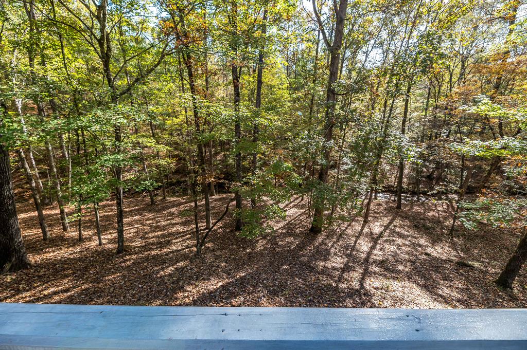 318 North Buckeye Loop Midland, GA 31820 - Photo 27 of 28