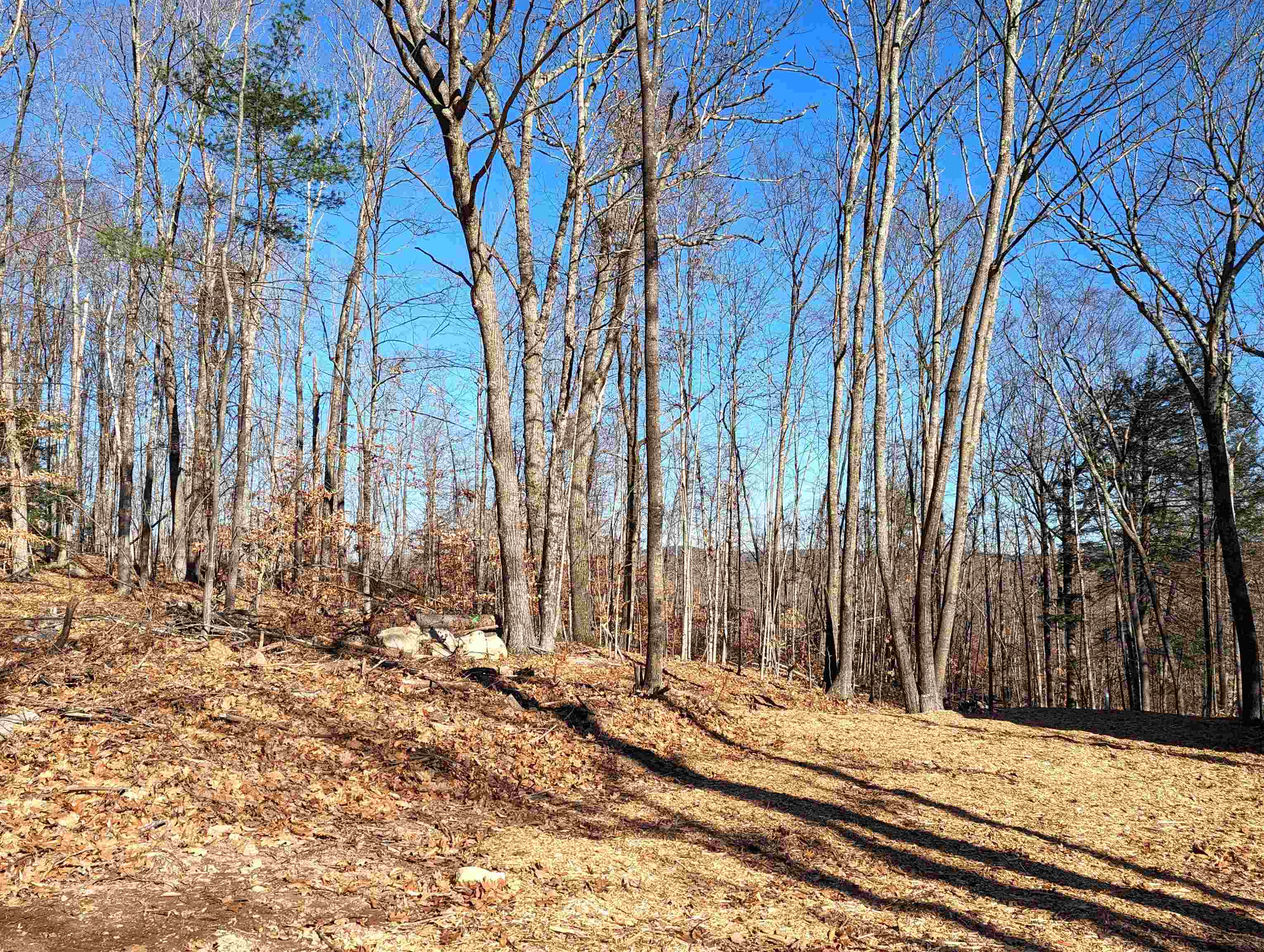 702 Browns Ridge Road Ossipee, NH 03864 - Photo 27 of 29 Gallery Image 27