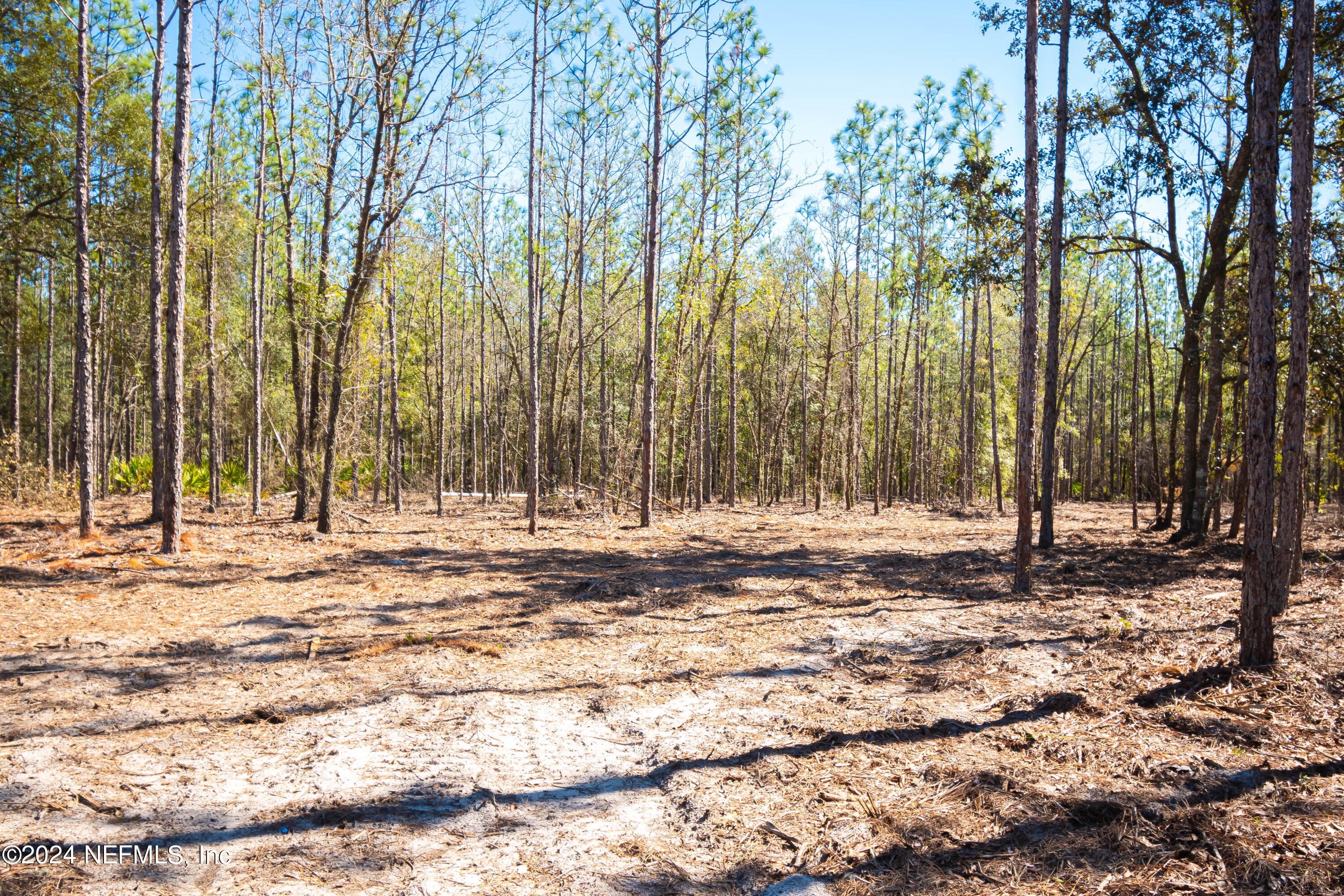 Lot 10 Steel Bridge Road Macclenny, FL 32063 - Photo 3 of 7 untitled-3634