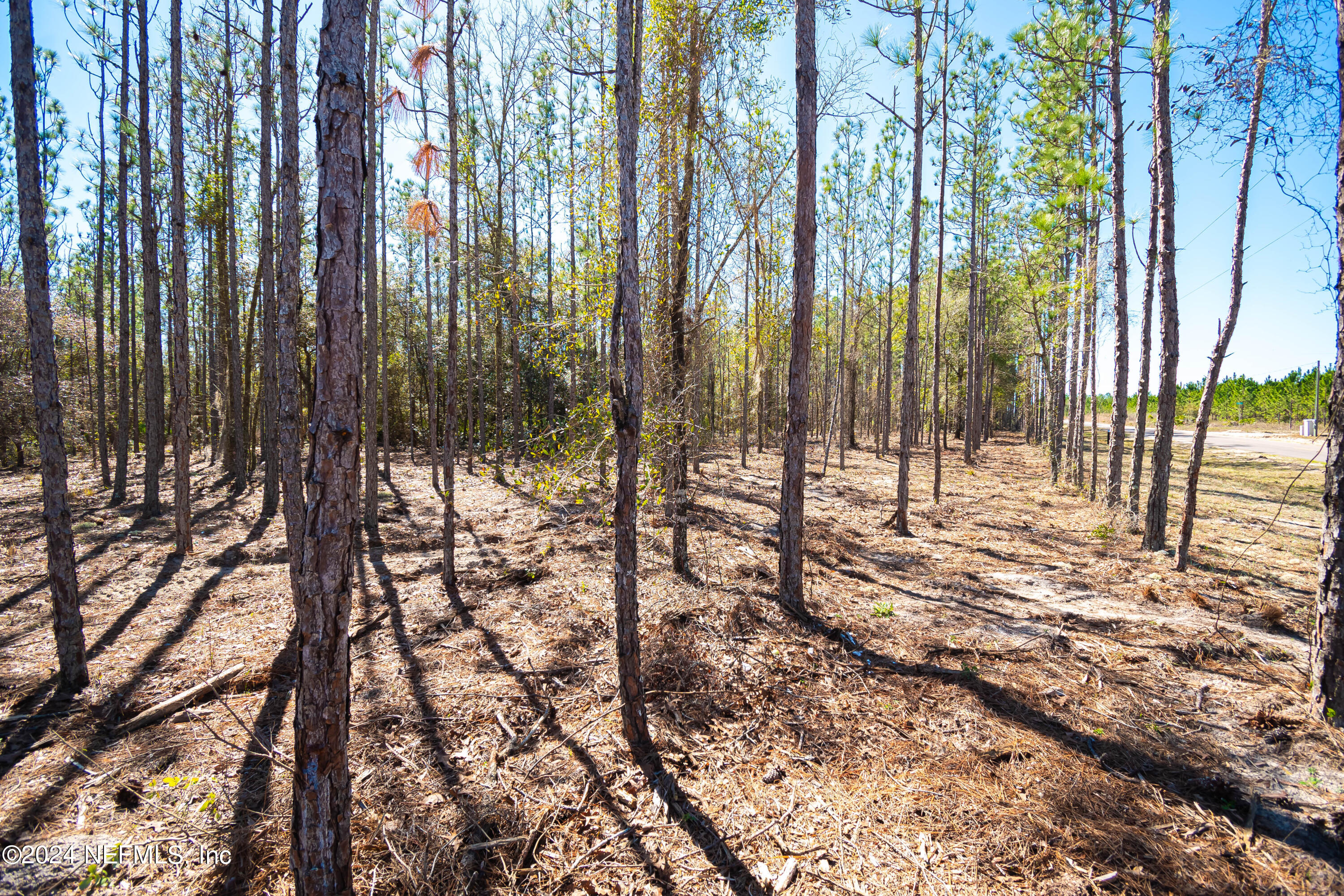 Lot 10 Steel Bridge Road Macclenny, FL 32063 - Photo 5 of 7 untitled-3637