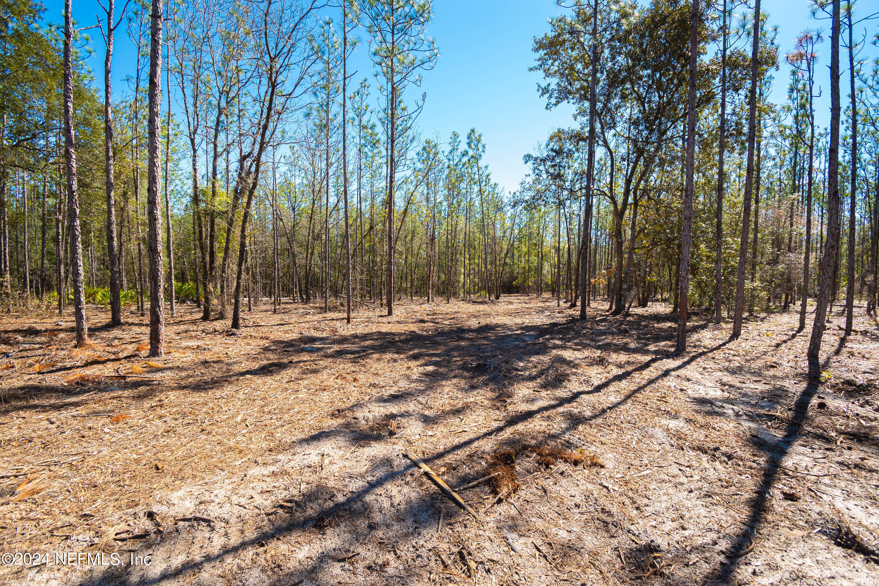 Lot 10 Steel Bridge Road Macclenny, FL 32063 - Photo 6 of 7 untitled-3639