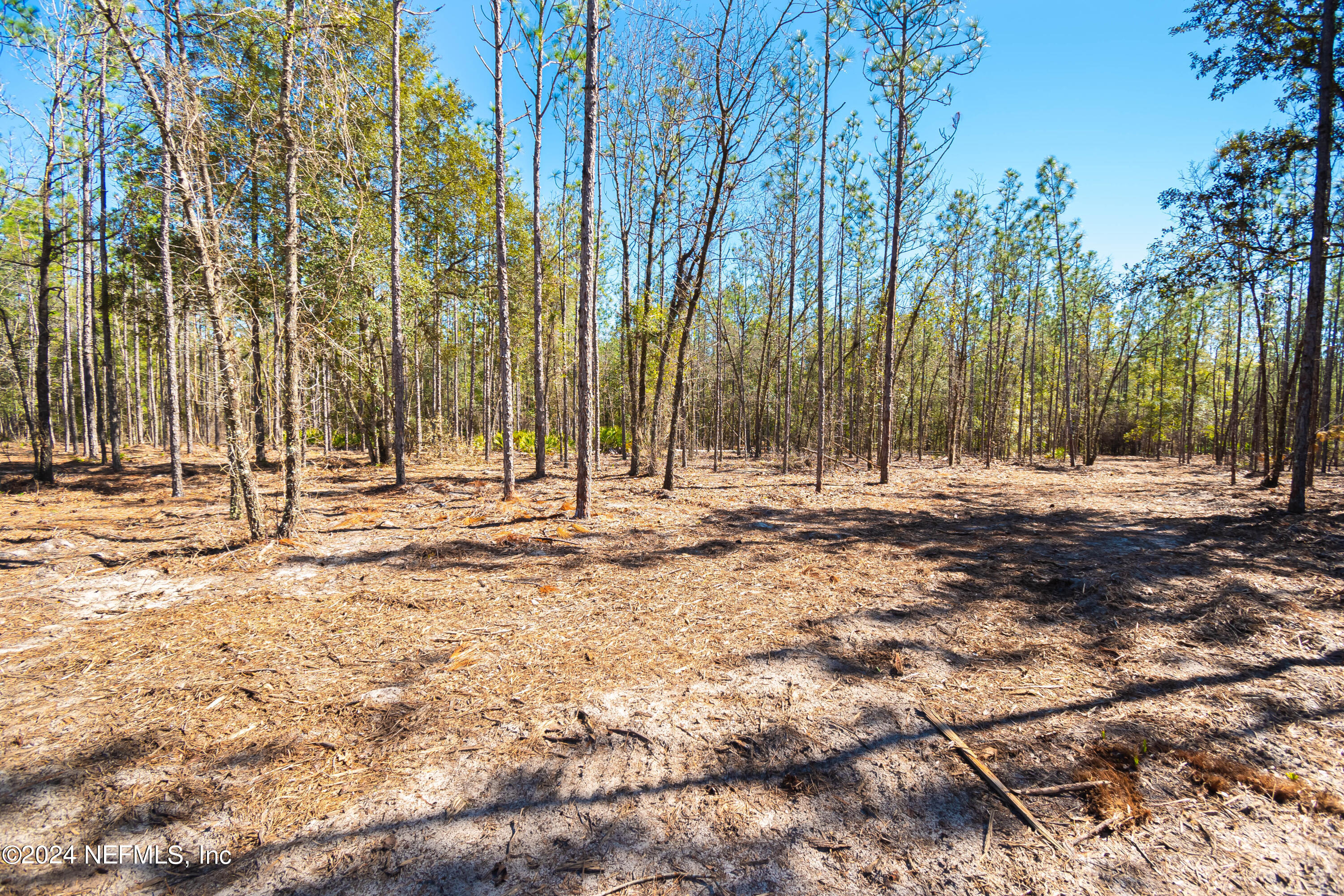 Lot 10 Steel Bridge Road Macclenny, FL 32063 - Photo 7 of 7 untitled-3640