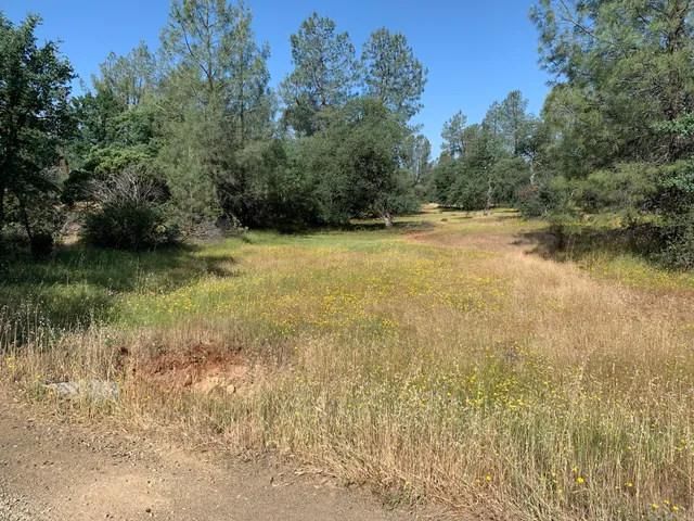 a view of a lake view