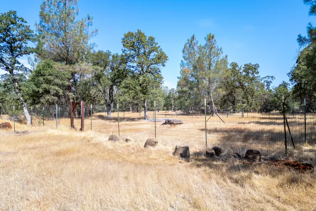 a view of a park with trees