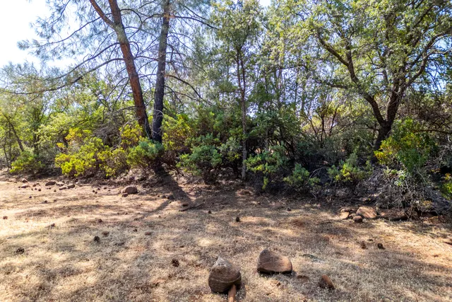 a view of a yard covered in snow