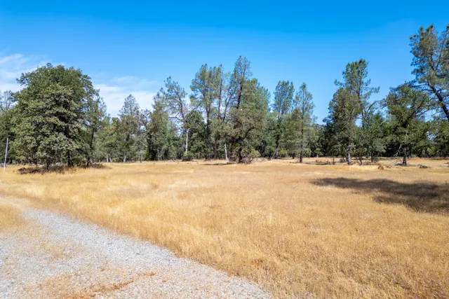 a view of a yard covered in snow