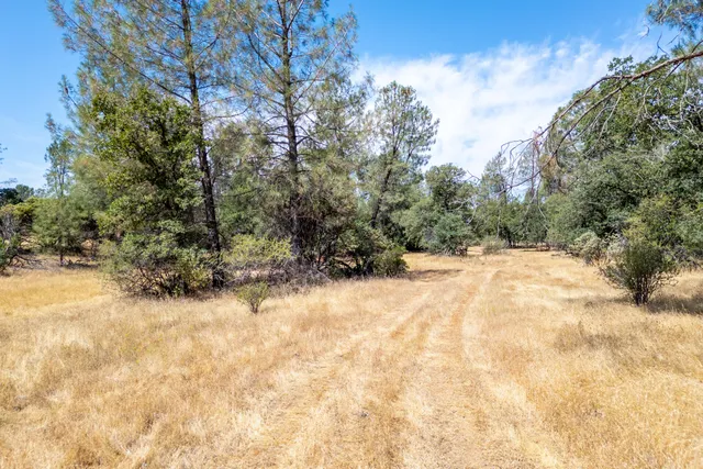 a view of snow on the side of a field
