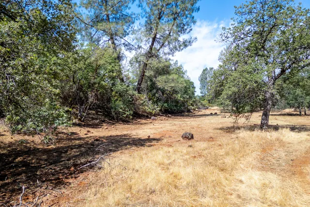 a view of a covered with large trees