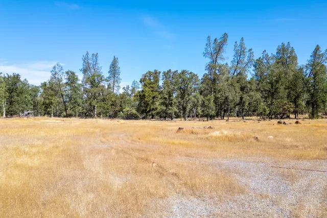 a view of a yard covered in snow
