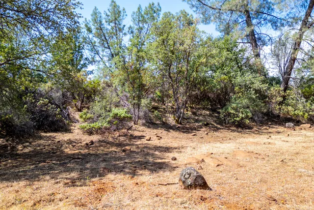 a view of a city with lush green forest
