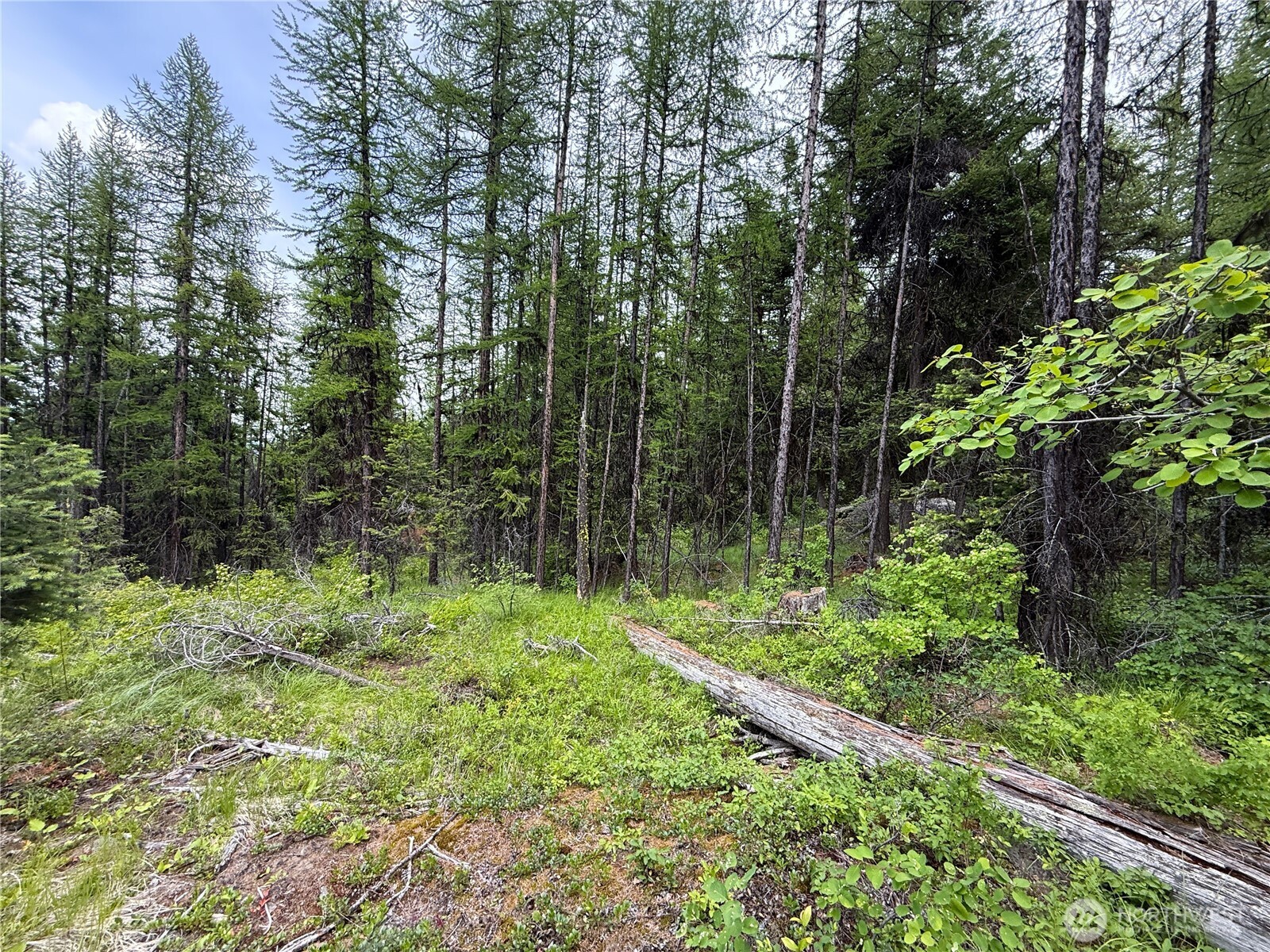 -tbd Mule Deer Road Republic, WA 99166 - Photo 2 of 11