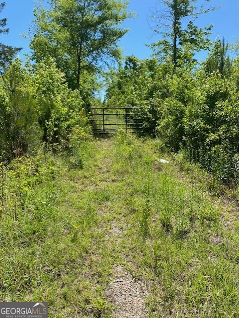 1730 North Walker's Mill Road Griffin, GA 30223 - Photo 1 of 6