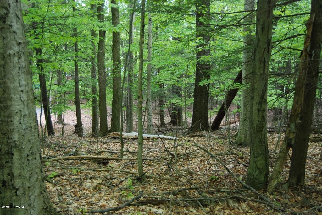 927 Hibernation Road Lake Ariel, PA 18436 - Photo 8 of 14